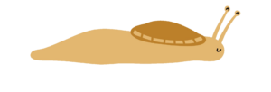 Slug-10