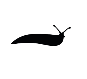 Slug-13