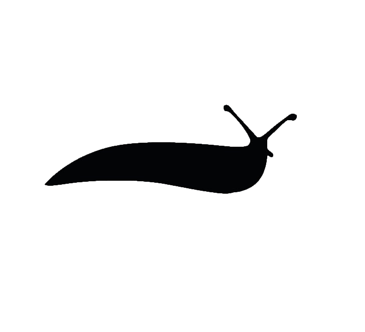 Slug-13