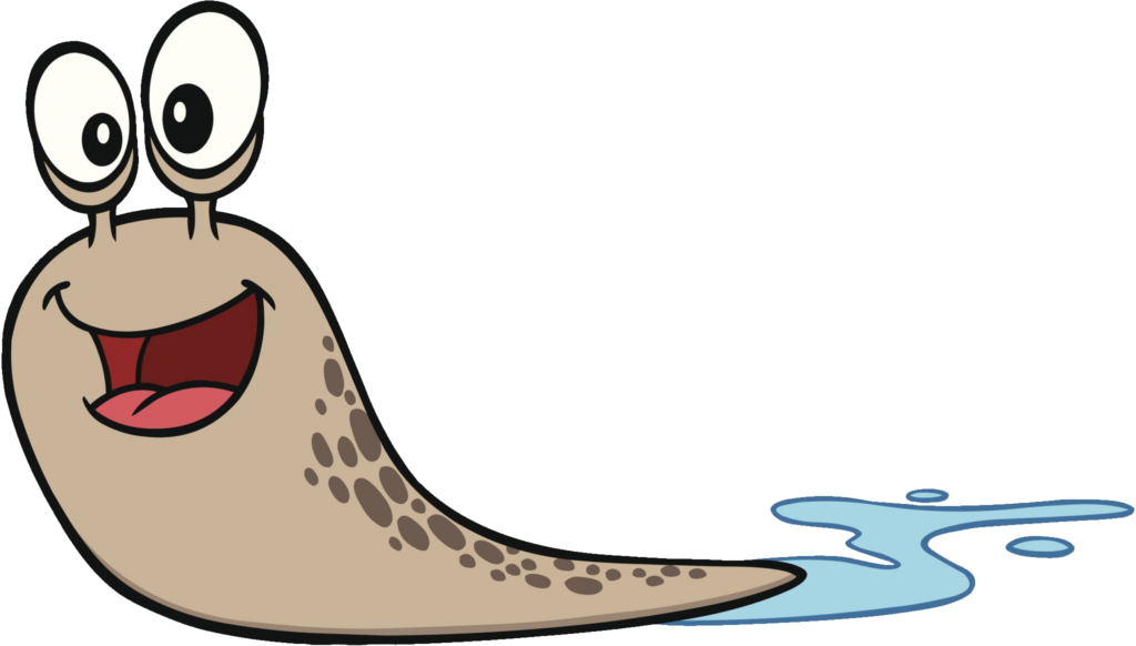 Cartoon Slug PNG