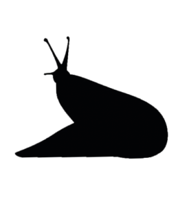 Slug-2