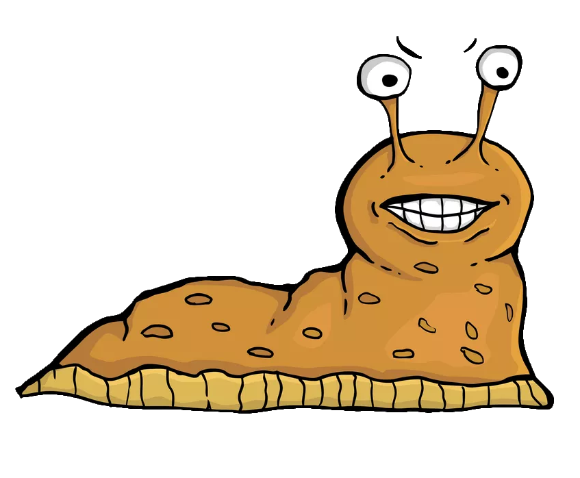 cartoon Slug clipart PNG