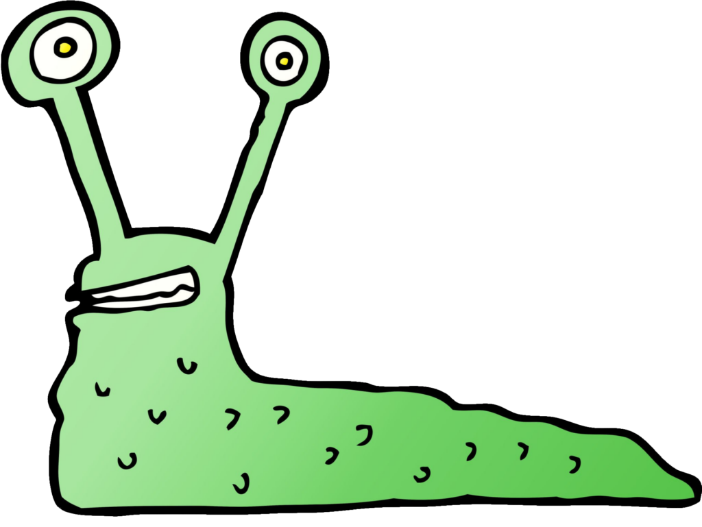 Slug Cartoon PNG