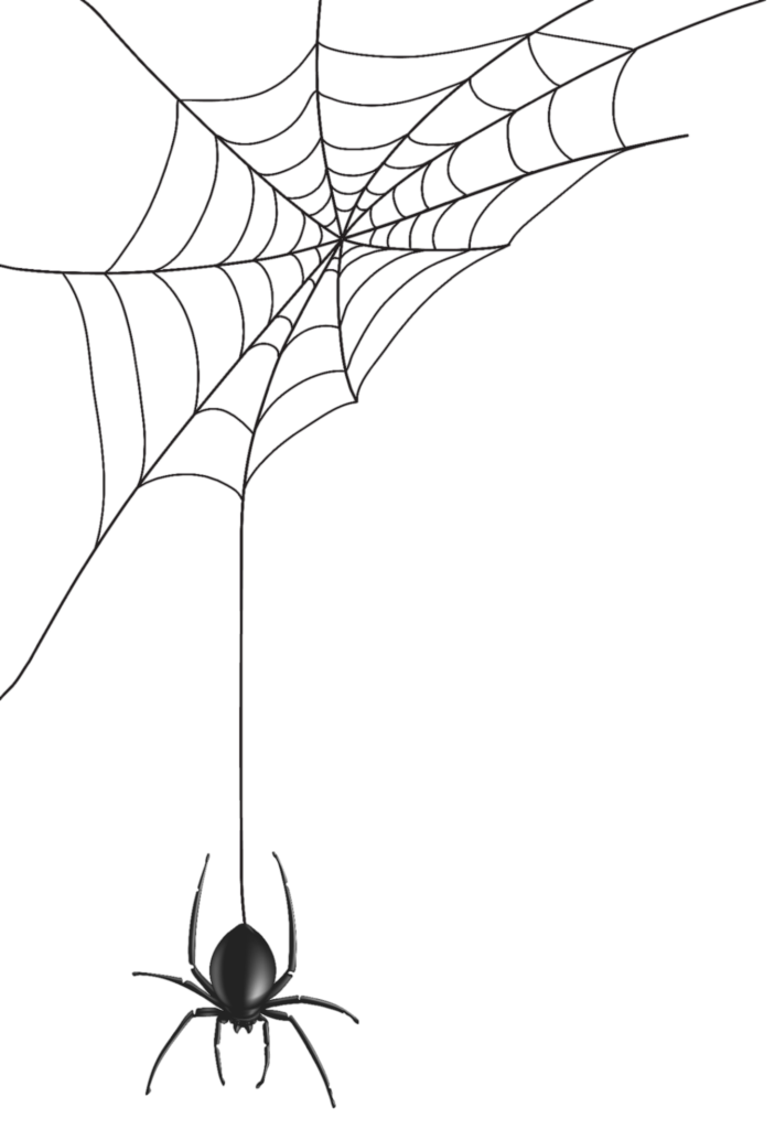 Animated Spider Web PNG