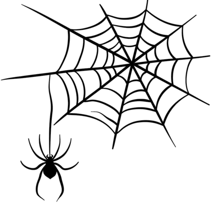 Spider Web Clipart PNG