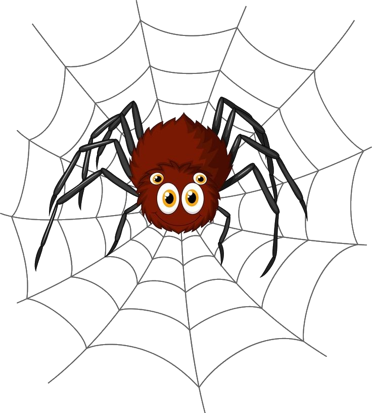 Spider Web Clipart PNG