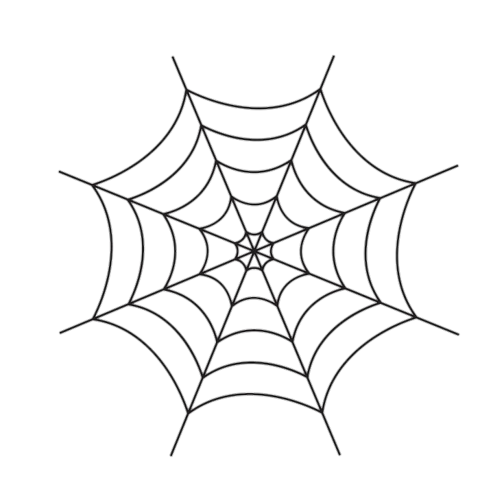 Simple Spider Web PNG