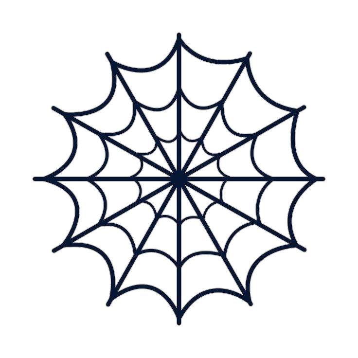 Spider Web Black PNG