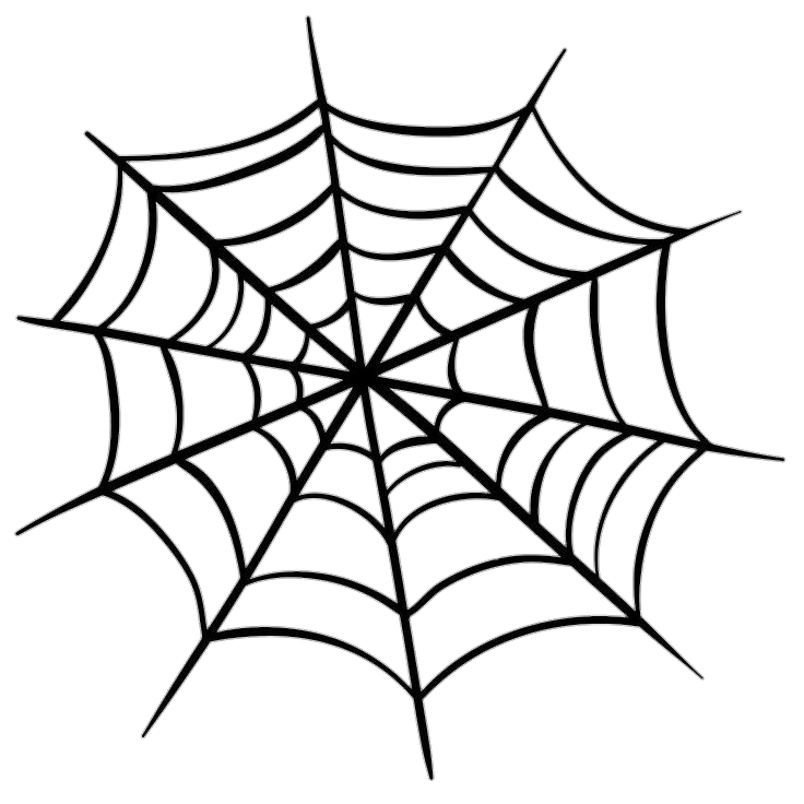 Spider Web Design PNG