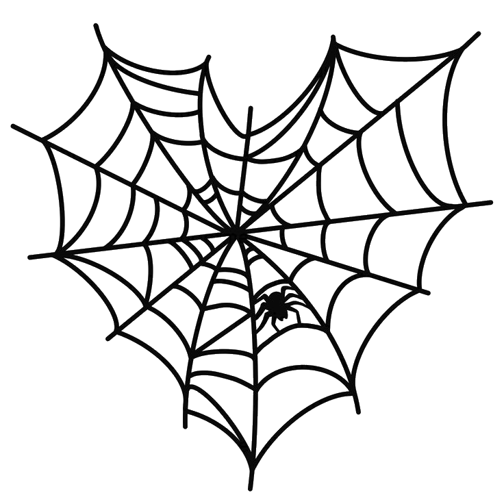Heart Shape Spider Web PNG