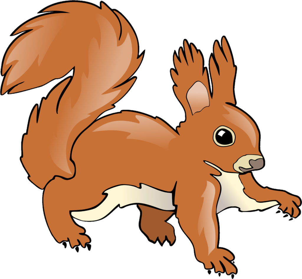Squirrel Clipart png