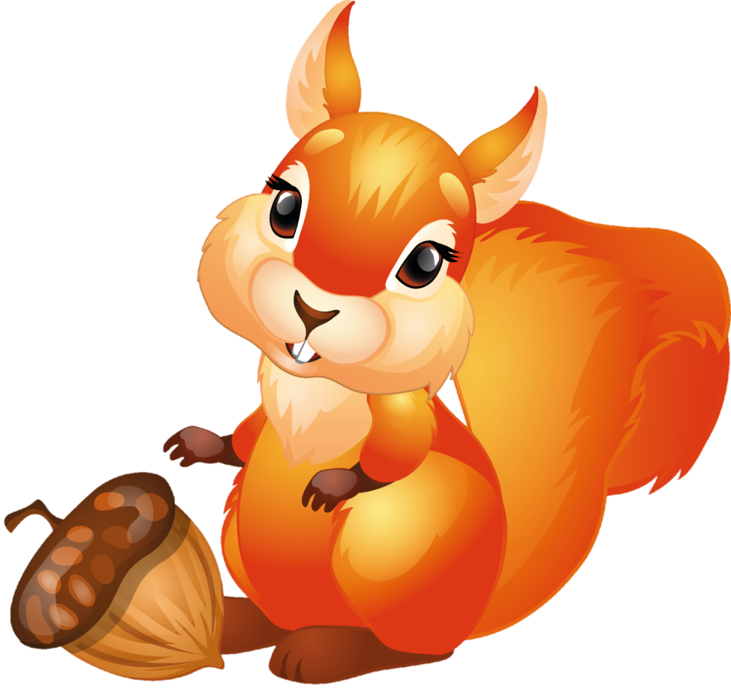 Red Squirrel Illustration png