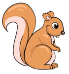 Squirrel Png Image