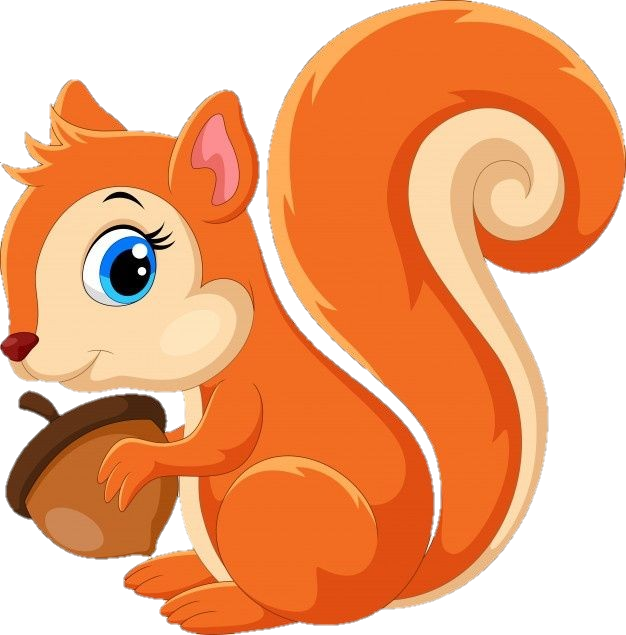 Red Squirrel clipart png