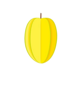 Star-Fruit-12