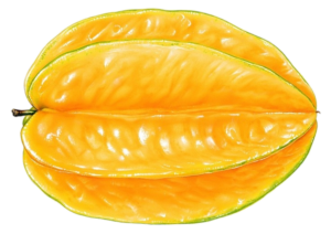 Star-Fruit-15