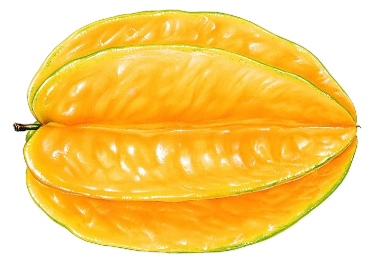 Star Fruit clipart Png