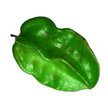 Green Star Fruit Png