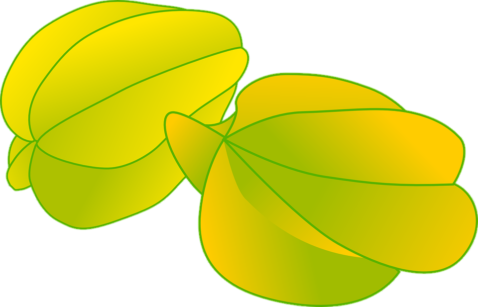 Star Fruit Vector Png