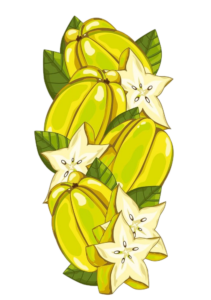 Star-Fruit-8