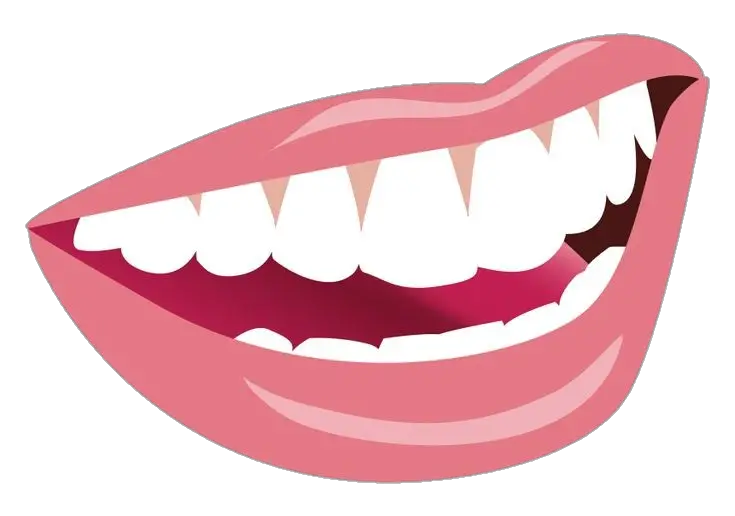 Smile Teeth vector Png