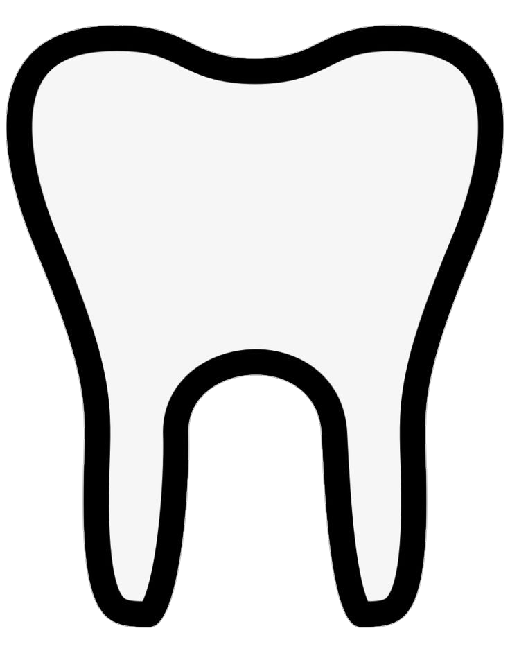 Single Teeth Vector Png