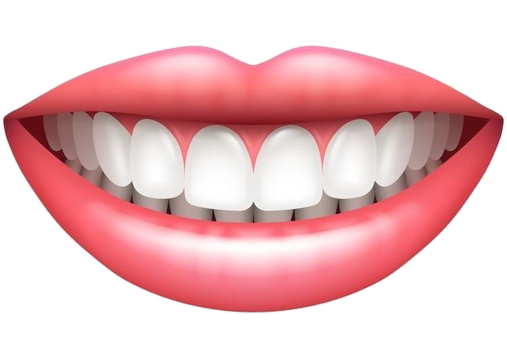 Mouth Smile Teeth Illustration Png