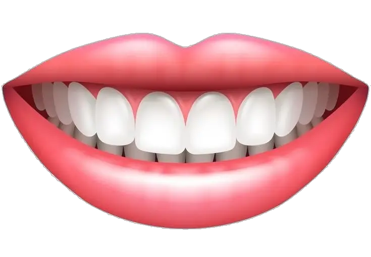 Mouth Smile Teeth Illustration Png