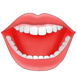 Teeth-2