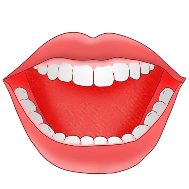 Mouth Teeth Png