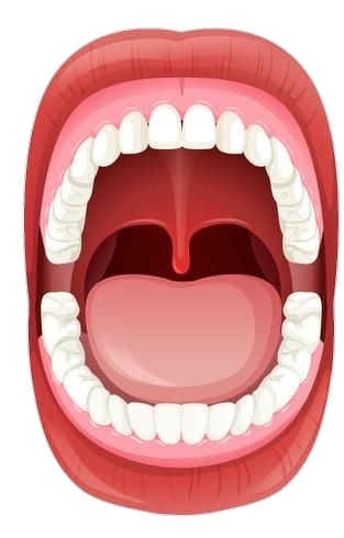 Mouth Teeth Png Image