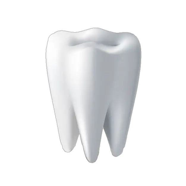 Dental Teeth Png