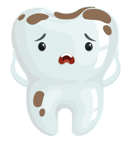 Single Teeth Clipart Png