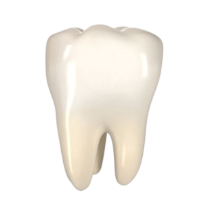 Teeth-3
