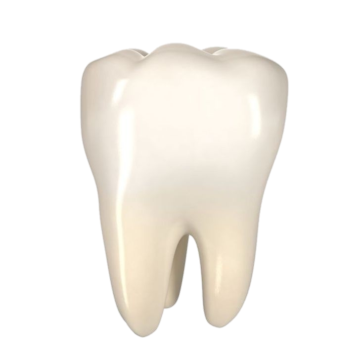 Teeth-3