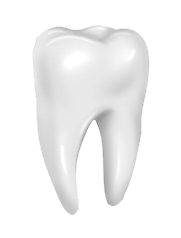 Teeth-4