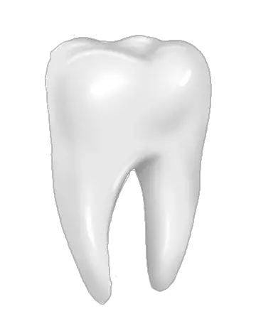 Dental Teeth Png