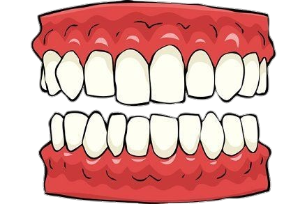 Teeth-5