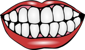 Teeth-9