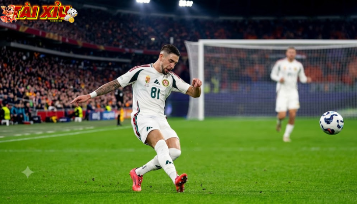 zsolt-nagy-tactical-evolution-european-football