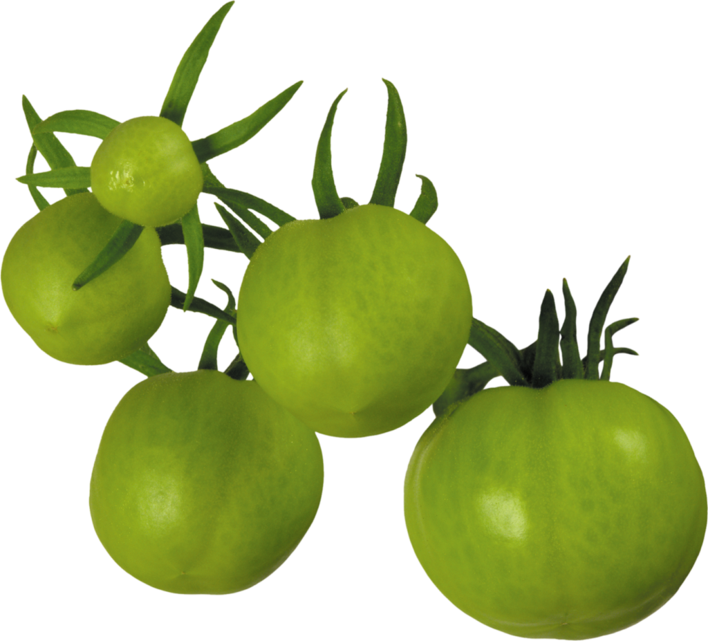 Raw tomatoes png
