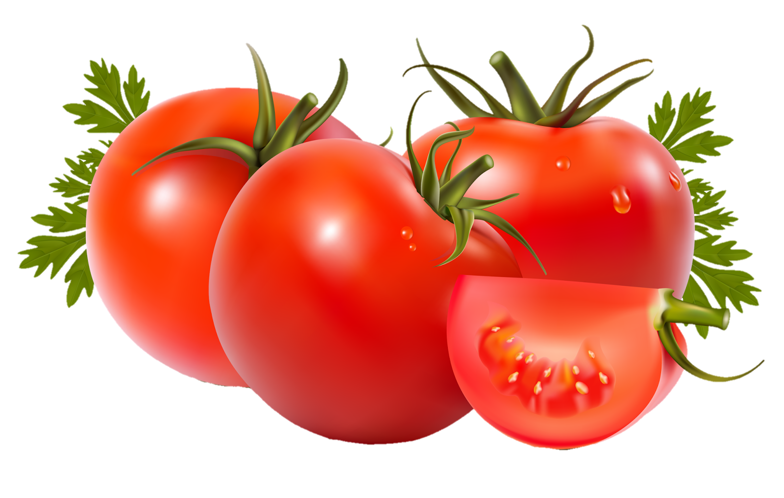 Tomato-17