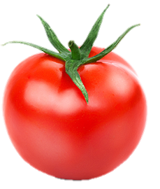Clear Background Tomato png