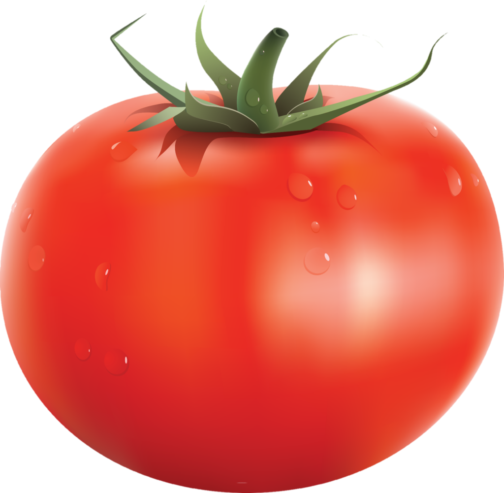 Tomato png vector