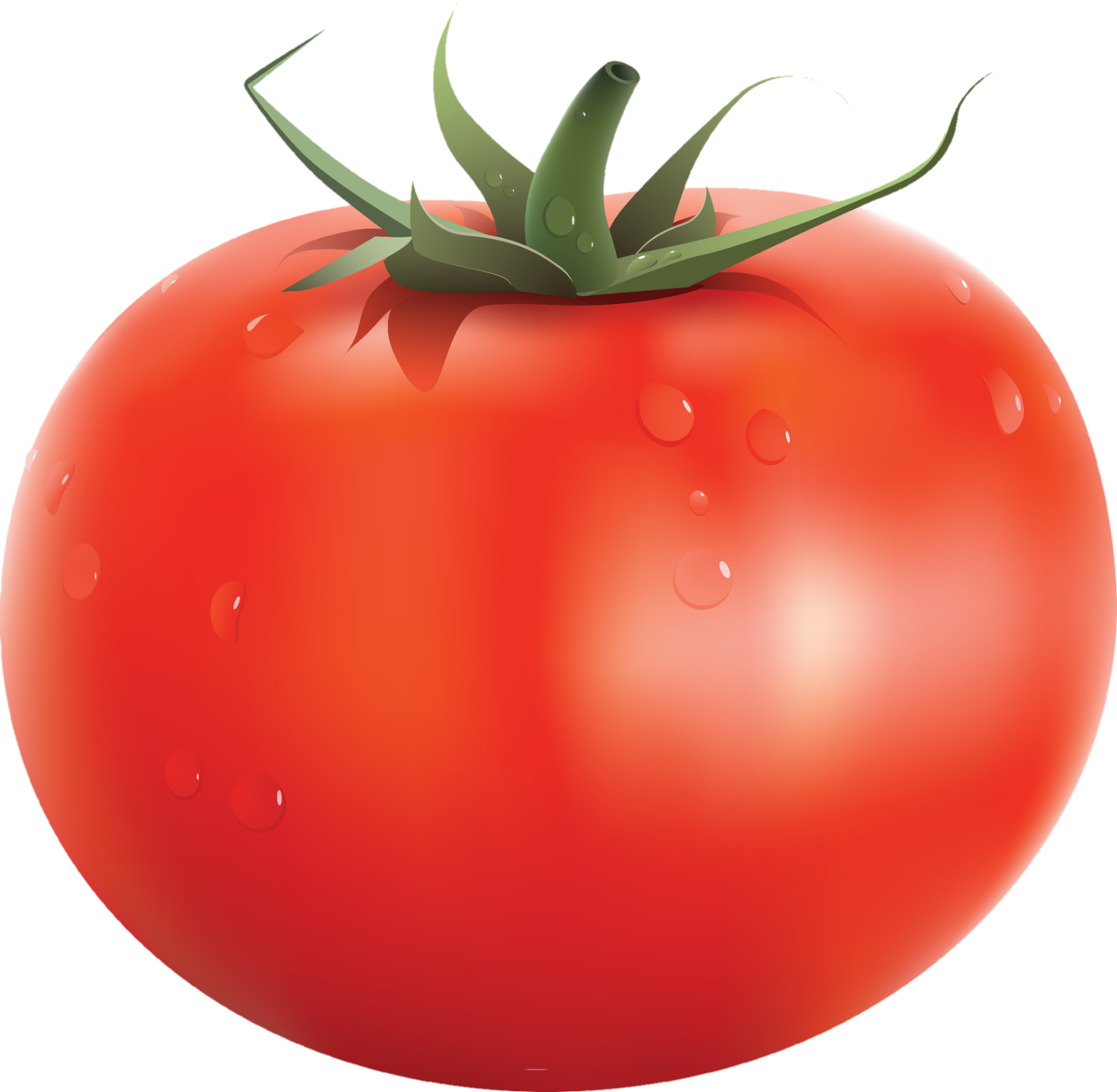 Tomato-22