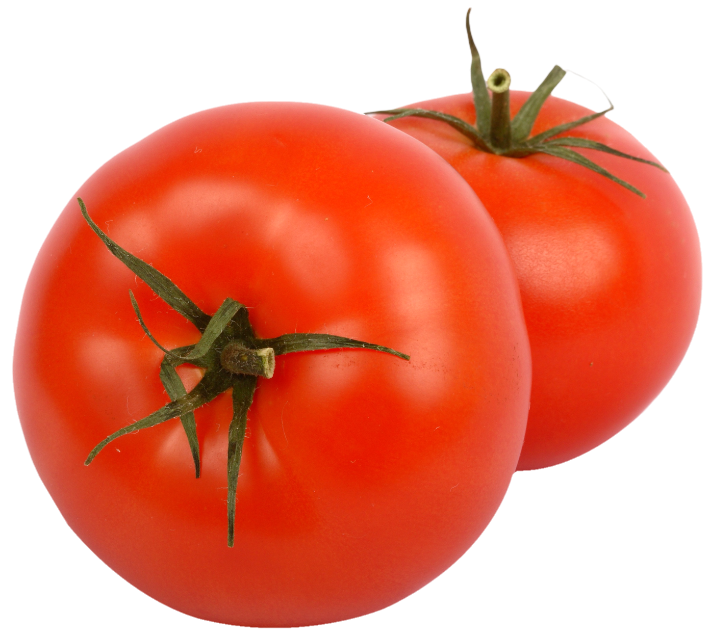 Tomato-23-1