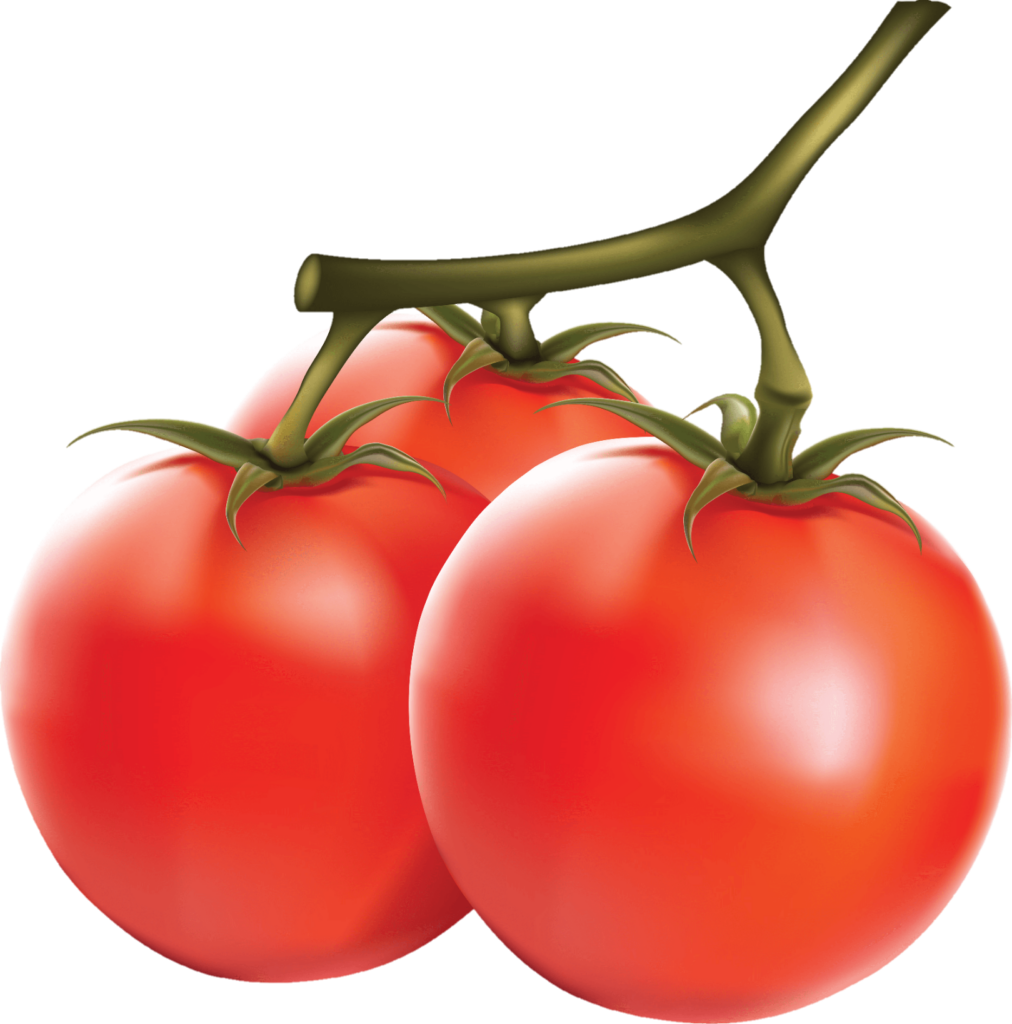 HD Tomato png vector 