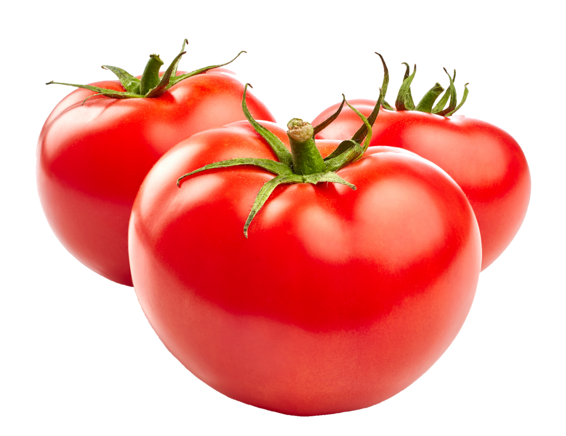 Tomato-4