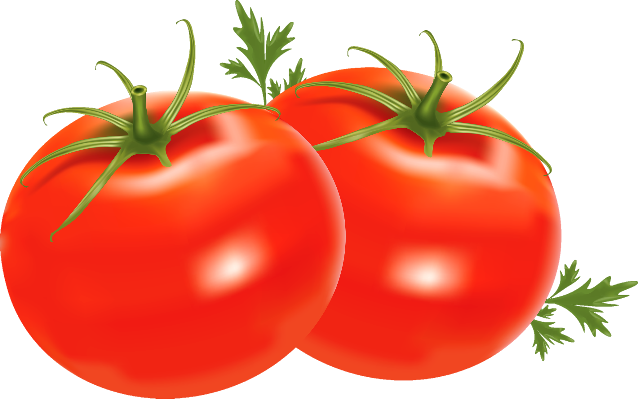 Tomato-6
