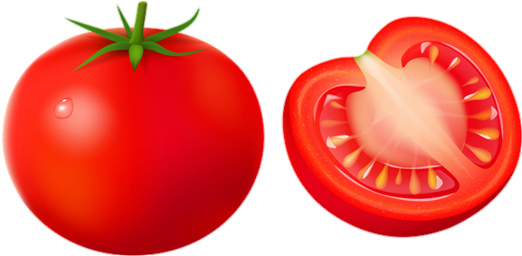Tomato png vector 
